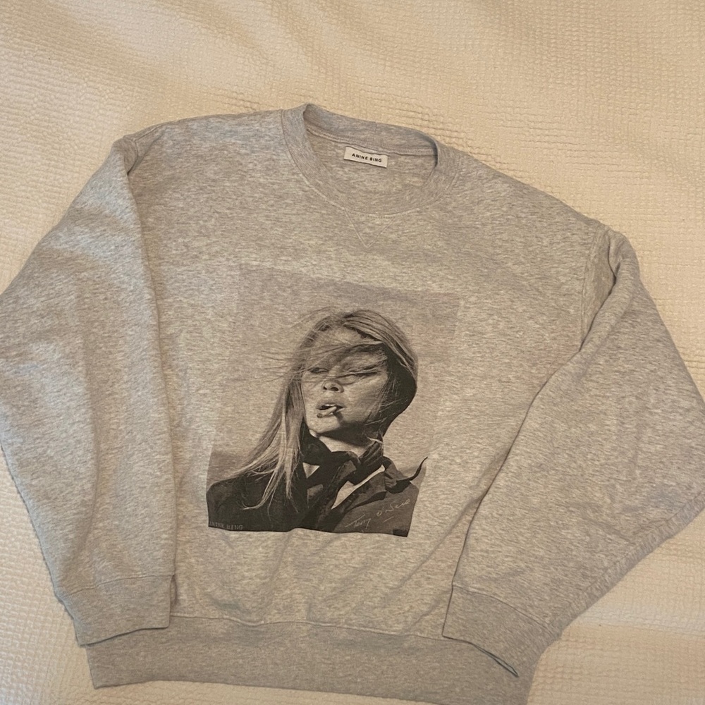Anine Bing Light Gray Graphic Crewneck Sweater - Picture 3 of 3